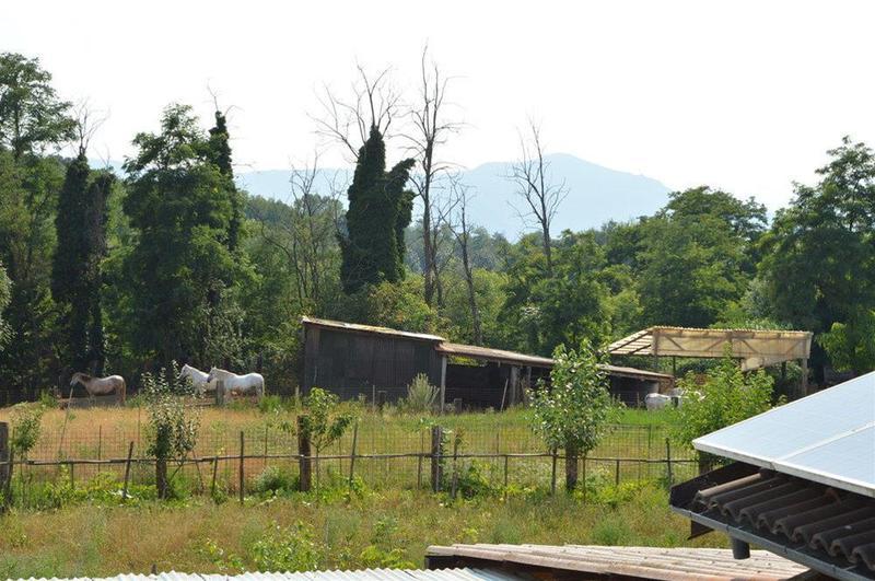Hotel Cascina Scola Rivoli  Esterno foto